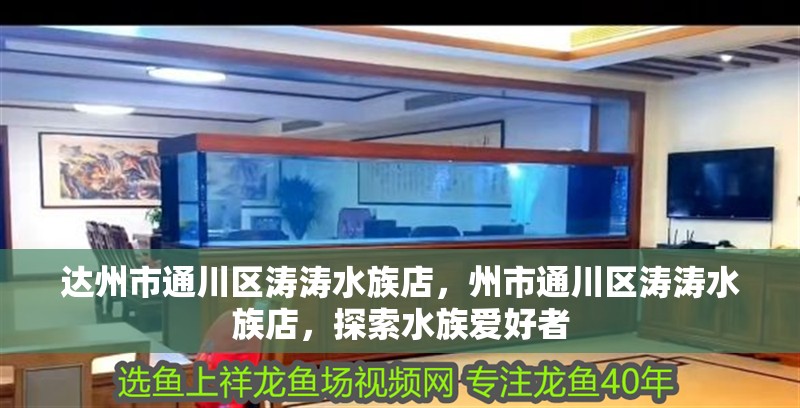 達(dá)州市通川區(qū)濤濤水族店，州市通川區(qū)濤濤水族店，探索水族愛好者