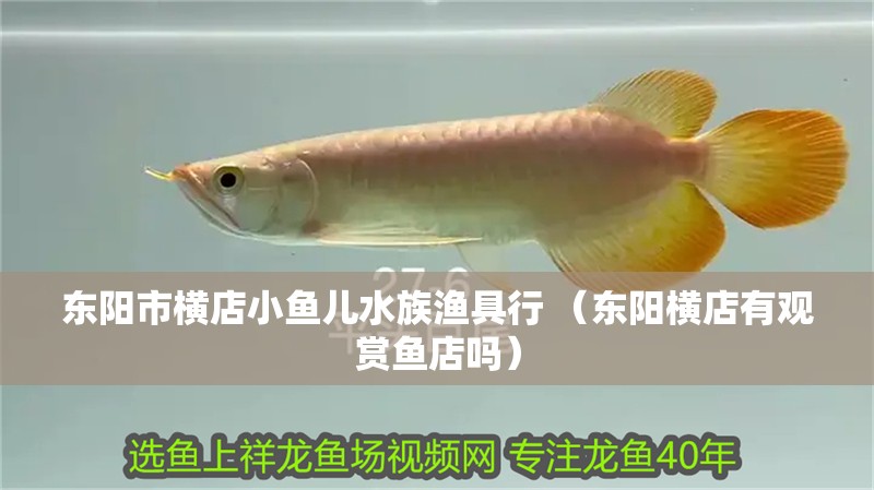 東陽(yáng)市橫店小魚(yú)兒水族漁具行 （東陽(yáng)橫店有觀賞魚(yú)店嗎） 東陽(yáng)市橫店小魚(yú)兒水族漁具行 （東陽(yáng)橫店有觀賞魚(yú)店嗎） 全國(guó)水族館企業(yè)名錄