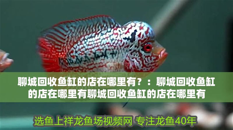 聊城回收魚缸的店在哪里有？：聊城回收魚缸的店在哪里有聊城回收魚缸的店在哪里有