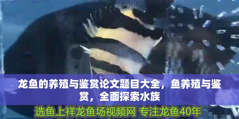 龍魚的養(yǎng)殖與鑒賞論文題目大全，魚養(yǎng)殖與鑒賞，全面探索水族