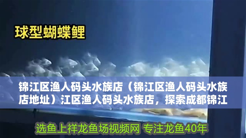 錦江區(qū)漁人碼頭水族店（錦江區(qū)漁人碼頭水族店地址）江區(qū)漁人碼頭水族店，探索成都錦江區(qū)的