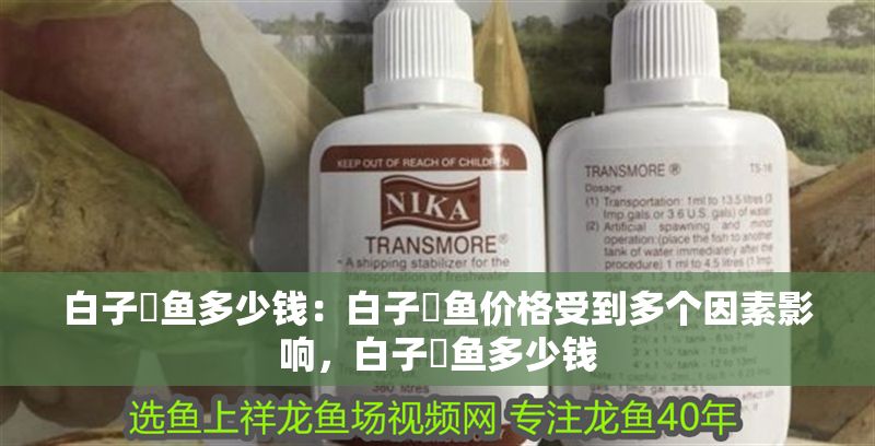 白子魟魚多少錢:白子魟魚價格受到多個因素影響,白子魟魚多少錢 魟魚百科 第2張 白子魟魚多少錢:白子魟魚價格受到多個因素影響,白子魟魚多少錢 白子魟魚多少錢:白子魟魚價格受到多個因素影響,白子魟魚多少錢 魟魚百科 第2張