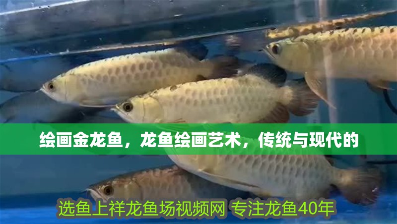 繪畫金龍魚，龍魚繪畫藝術，傳統與現代的 繪畫金龍魚，龍魚繪畫藝術，傳統與現代的 龍魚百科 第2張