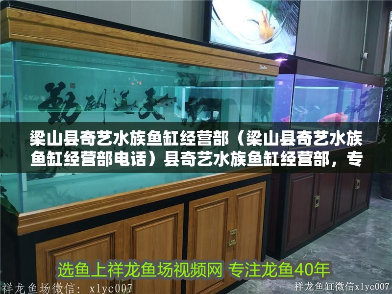 梁山縣奇藝水族魚缸經(jīng)營部（梁山縣奇藝水族魚缸經(jīng)營部電話）縣奇藝水族魚缸經(jīng)營部，專業(yè)魚缸銷售與定制 梁山縣奇藝水族魚缸經(jīng)營部（梁山縣奇藝水族魚缸經(jīng)營部電話）縣奇藝水族魚缸經(jīng)營部，專業(yè)魚缸銷售與定制 全國水族館企業(yè)名錄 第2張