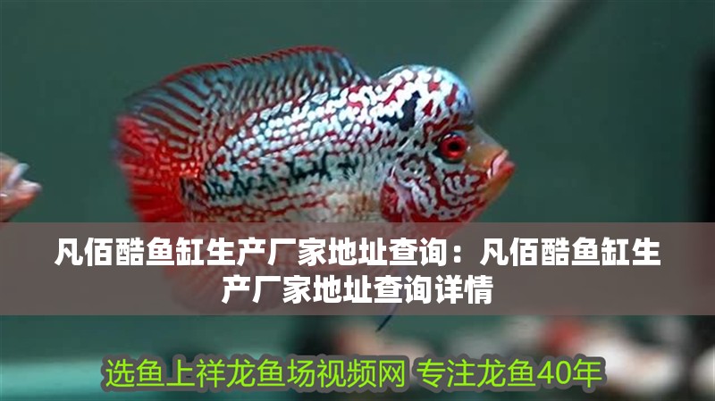 凡佰酷魚缸生產(chǎn)廠家地址查詢：凡佰酷魚缸生產(chǎn)廠家地址查詢詳情