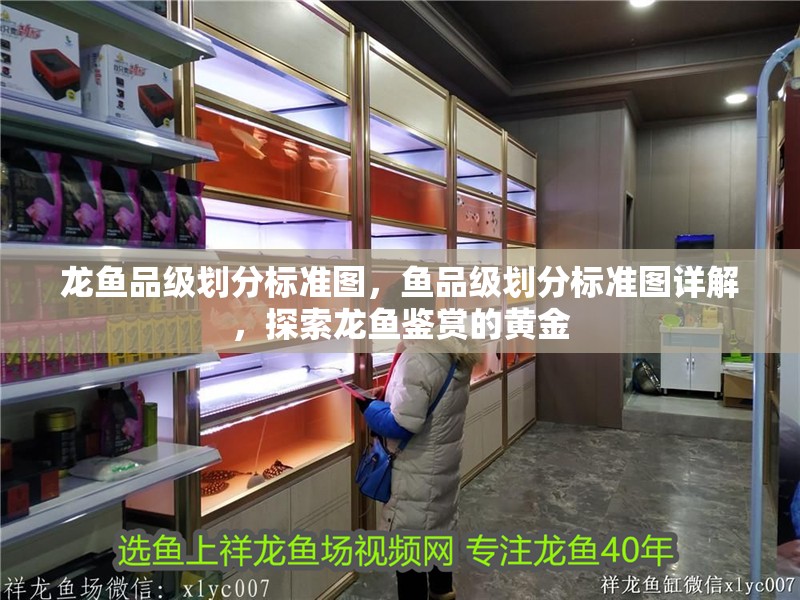 龍魚品級劃分標準圖，魚品級劃分標準圖詳解，探索龍魚鑒賞的黃金