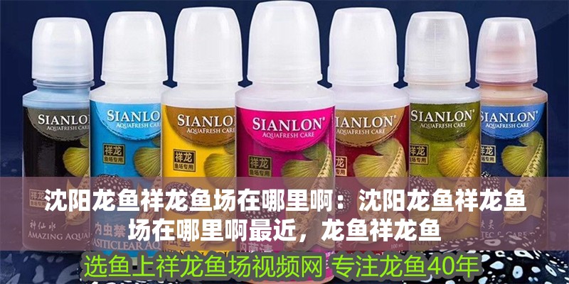 沈陽龍魚祥龍魚場在哪里啊：沈陽龍魚祥龍魚場在哪里啊最近，龍魚祥龍魚