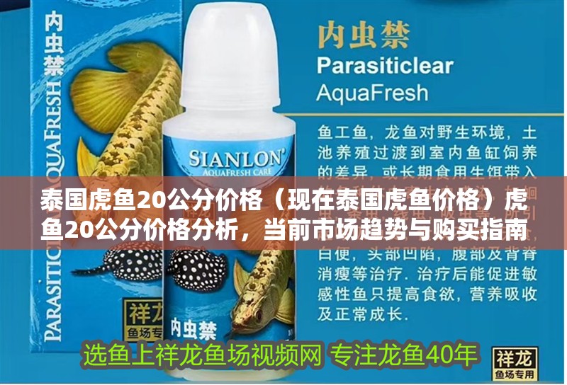 泰國虎魚20公分價格（現在泰國虎魚價格）虎魚20公分價格分析，當前市場趨勢與購買指南