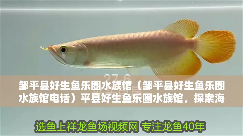 鄒平縣好生魚樂圈水族館（鄒平縣好生魚樂圈水族館電話）平縣好生魚樂圈水族館，探索海洋奧秘