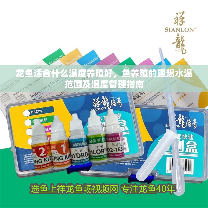 龍魚(yú)適合什么溫度養(yǎng)殖好，魚(yú)養(yǎng)殖的理想水溫范圍及溫度管理指南 龍魚(yú)適合什么溫度養(yǎng)殖好，魚(yú)養(yǎng)殖的理想水溫范圍及溫度管理指南 龍魚(yú)百科 第2張