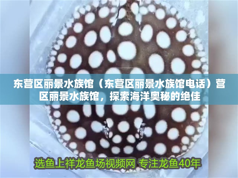 東營(yíng)區(qū)麗景水族館（東營(yíng)區(qū)麗景水族館電話）營(yíng)區(qū)麗景水族館，探索海洋奧秘的絕佳 東營(yíng)區(qū)麗景水族館（東營(yíng)區(qū)麗景水族館電話）營(yíng)區(qū)麗景水族館，探索海洋奧秘的絕佳 全國(guó)水族館企業(yè)名錄 第2張