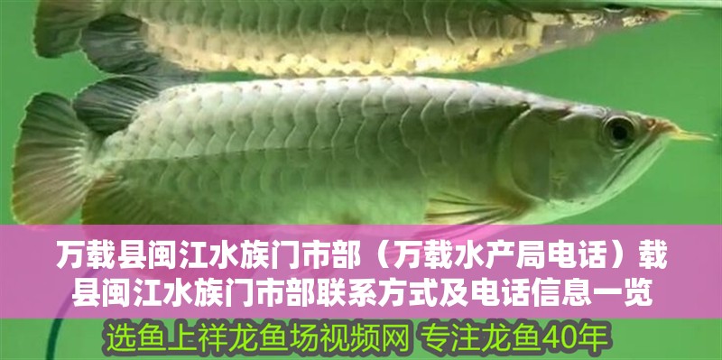 萬載縣閩江水族門市部（萬載水產局電話）載縣閩江水族門市部聯系方式及電話信息一覽