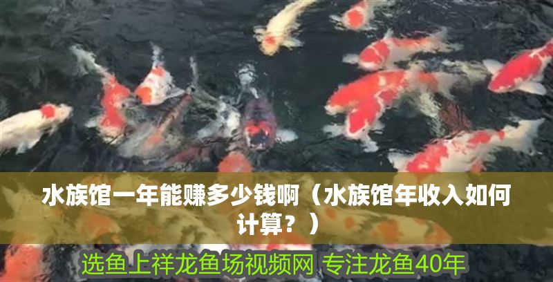 水族館一年能賺多少錢啊（水族館年收入如何計算？）