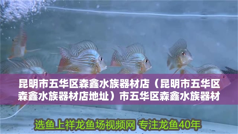 昆明市五華區森鑫水族器材店（昆明市五華區森鑫水族器材店地址）市五華區森鑫水族器材店詳細地址及聯系方式