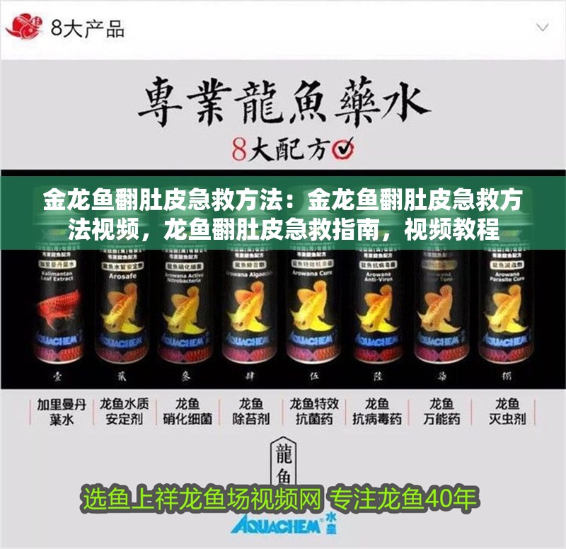 金龍魚翻肚皮急救方法：金龍魚翻肚皮急救方法視頻，龍魚翻肚皮急救指南，視頻教程