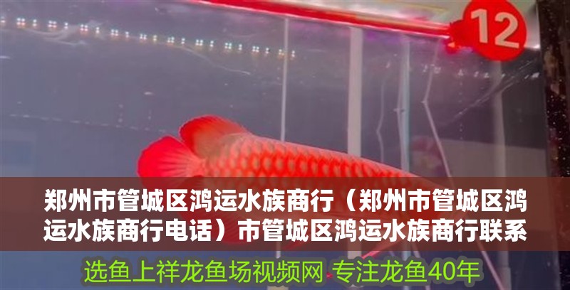鄭州市管城區鴻運水族商行（鄭州市管城區鴻運水族商行電話）市管城區鴻運水族商行聯系方式