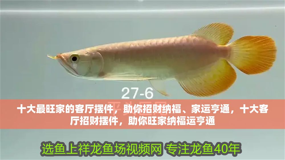 十大最旺家的客廳擺件，助你招財(cái)納福、家運(yùn)亨通，十大客廳招財(cái)擺件，助你旺家納福運(yùn)亨通