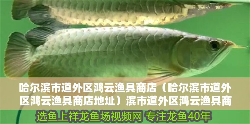 哈爾濱市道外區鴻云漁具商店（哈爾濱市道外區鴻云漁具商店地址）濱市道外區鴻云漁具商店