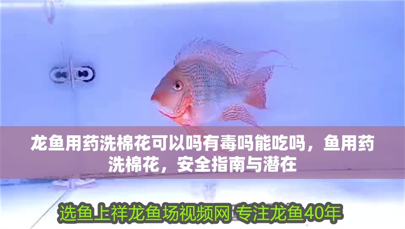 龍魚用藥洗棉花可以嗎有毒嗎能吃嗎，魚用藥洗棉花，安全指南與潛在