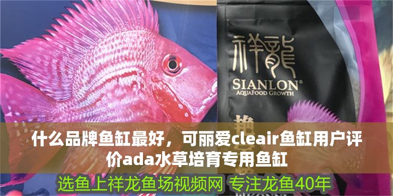 什么品牌魚缸最好，可麗愛cleair魚缸用戶評價ada水草培育專用魚缸