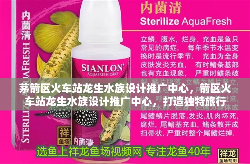 茅箭區火車站龍生水族設計推廣中心，箭區火車站龍生水族設計推廣中心，打造獨特旅行