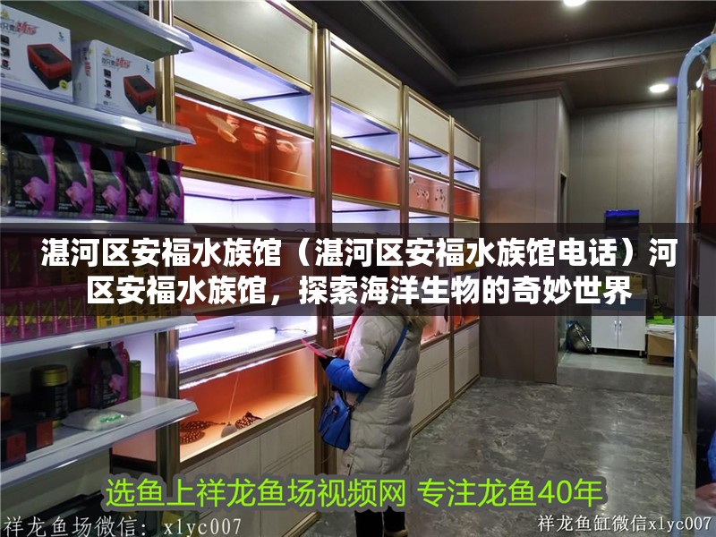 湛河區安福水族館（湛河區安福水族館電話）河區安福水族館，探索海洋生物的奇妙世界
