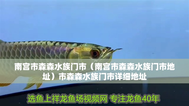 南宮市森森水族門市（南宮市森森水族門市地址）市森森水族門市詳細地址