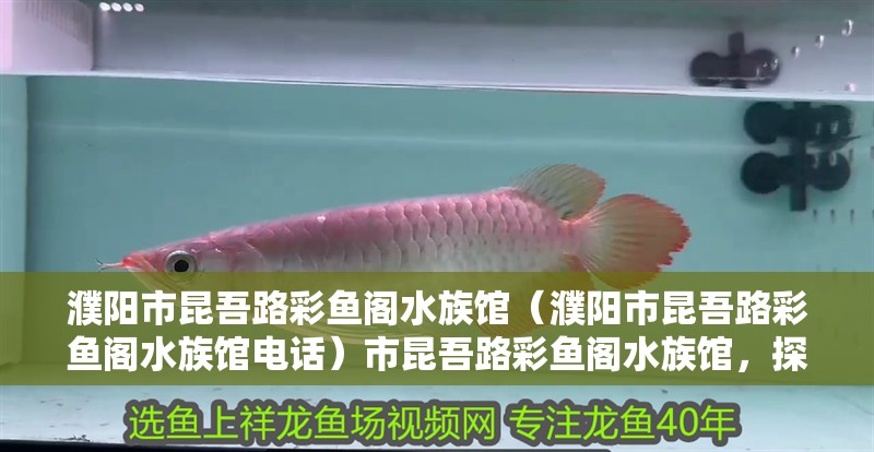 濮陽市昆吾路彩魚閣水族館（濮陽市昆吾路彩魚閣水族館電話）市昆吾路彩魚閣水族館，探索神秘的水下世界，享受與海洋生物