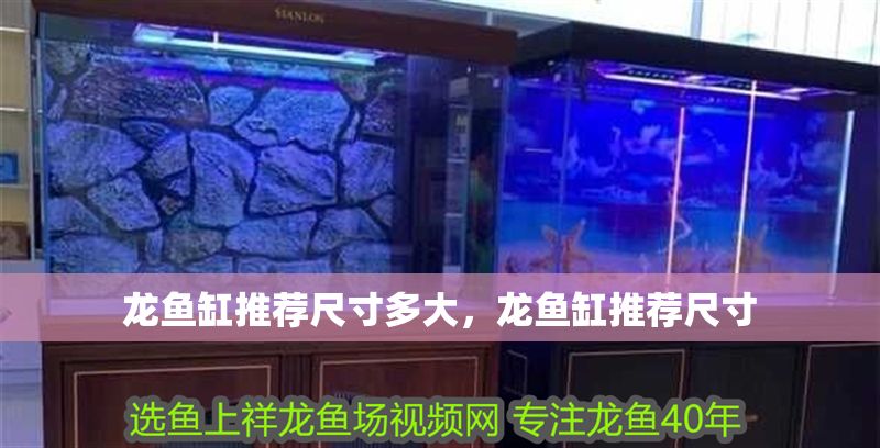 龍魚缸推薦尺寸多大，龍魚缸推薦尺寸