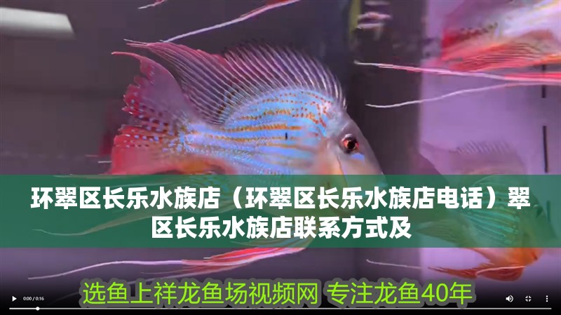 環翠區長樂水族店（環翠區長樂水族店電話）翠區長樂水族店聯系方式及