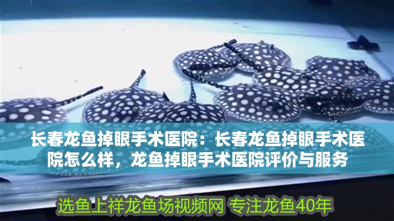 長春龍魚掉眼手術醫院：長春龍魚掉眼手術醫院怎么樣，龍魚掉眼手術醫院評價與服務