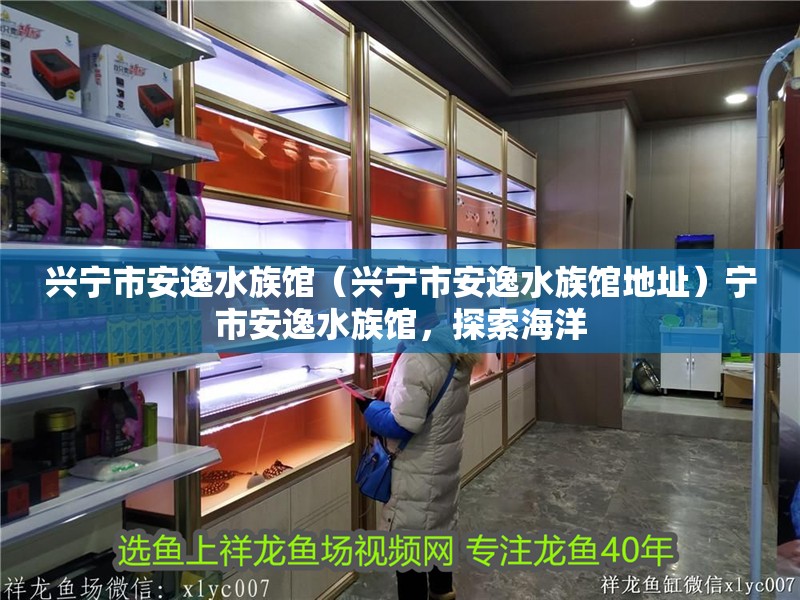 興寧市安逸水族館（興寧市安逸水族館地址）寧市安逸水族館，探索海洋