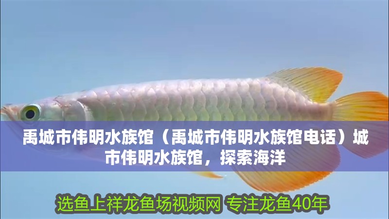 禹城市偉明水族館（禹城市偉明水族館電話）城市偉明水族館，探索海洋