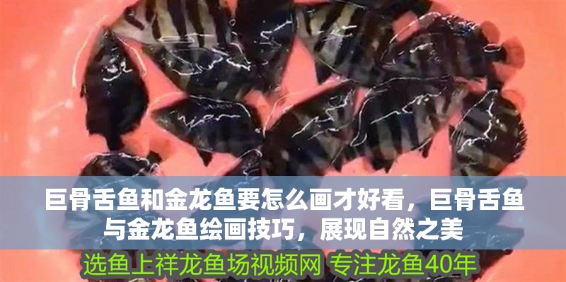 巨骨舌魚和金龍魚要怎么畫才好看，巨骨舌魚與金龍魚繪畫技巧，展現自然之美