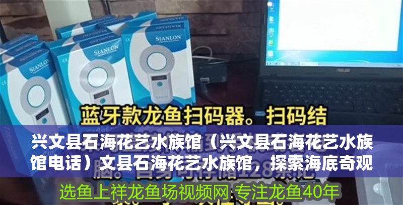 興文縣石海花藝水族館（興文縣石海花藝水族館電話）文縣石?；ㄋ囁屦^，探索海底奇觀