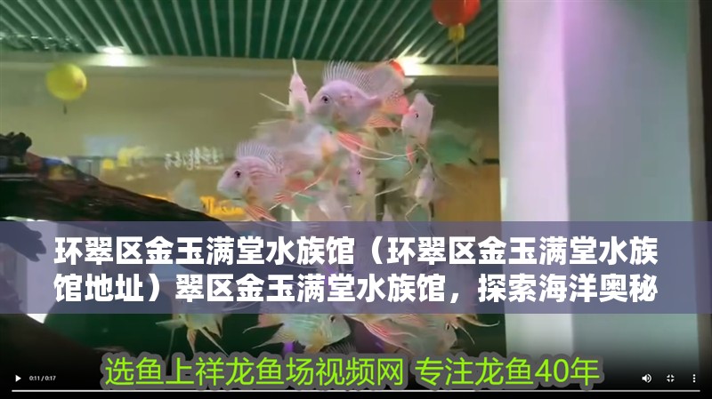 環翠區金玉滿堂水族館（環翠區金玉滿堂水族館地址）翠區金玉滿堂水族館，探索海洋奧秘的 環翠區金玉滿堂水族館（環翠區金玉滿堂水族館地址）翠區金玉滿堂水族館，探索海洋奧秘的 全國水族館企業名錄 第2張