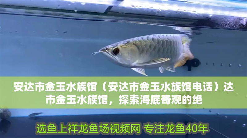 安達(dá)市金玉水族館（安達(dá)市金玉水族館電話）達(dá)市金玉水族館，探索海底奇觀的絕