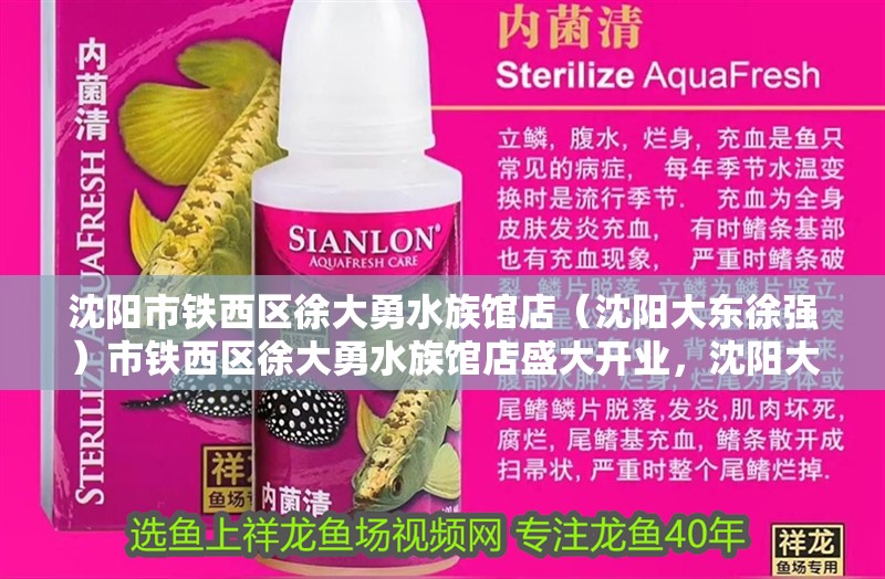 沈陽市鐵西區(qū)徐大勇水族館店（沈陽大東徐強(qiáng)）市鐵西區(qū)徐大勇水族館店盛大開業(yè)，沈陽大東徐強(qiáng)攜手