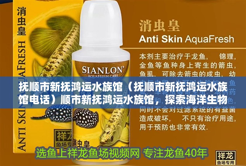 撫順市新撫鴻運水族館(撫順市新撫鴻運水族館電話)順市新撫鴻運水族館,探索海洋生物的 全國水族館企業名錄 第2張 撫順市新撫鴻運水族館(撫順市新撫鴻運水族館電話)順市新撫鴻運水族館,探索海洋生物的 撫順市新撫鴻運水族館(撫順市新撫鴻運水族館電話)順市新撫鴻運水族館,探索海洋生物的 全國水族館企業名錄 第2張