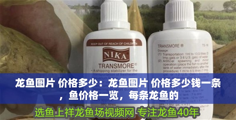 龍魚圖片 價格多少：龍魚圖片 價格多少錢一條，魚價格一覽，每條龍魚的 龍魚圖片 價格多少：龍魚圖片 價格多少錢一條，魚價格一覽，每條龍魚的 水族問答