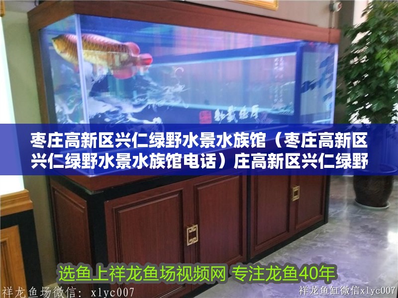 棗莊高新區興仁綠野水景水族館（棗莊高新區興仁綠野水景水族館電話）莊高新區興仁綠野水景水族館，探索自然