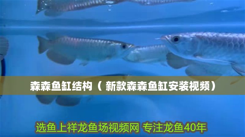 森森魚缸結構（ 新款森森魚缸安裝視頻）
