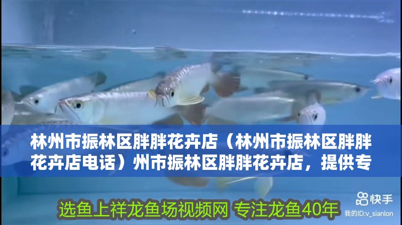 林州市振林區(qū)胖胖花卉店（林州市振林區(qū)胖胖花卉店電話）州市振林區(qū)胖胖花卉店，提供專業(yè)花卉服務(wù)，電話咨詢