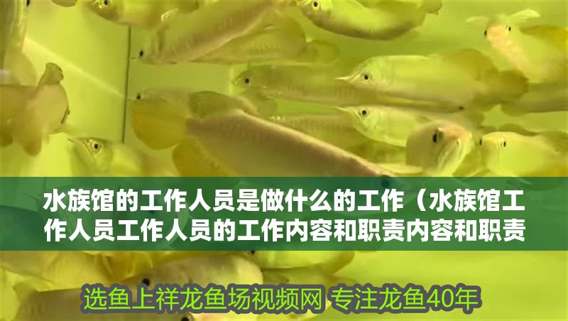 水族館的工作人員是做什么的工作（水族館工作人員工作人員的工作內容和職責內容和職責）