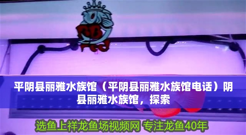 平陰縣麗雅水族館（平陰縣麗雅水族館電話）陰縣麗雅水族館，探索