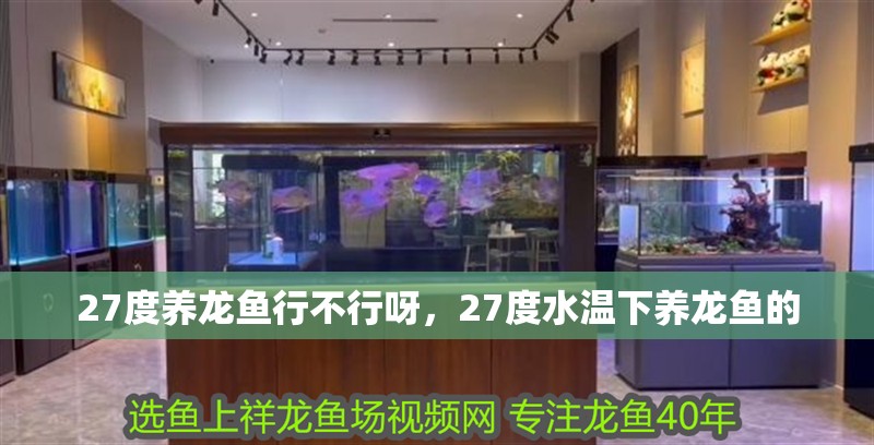 27度養(yǎng)龍魚行不行呀，27度水溫下養(yǎng)龍魚的 27度養(yǎng)龍魚行不行呀，27度水溫下養(yǎng)龍魚的 龍魚百科 第4張