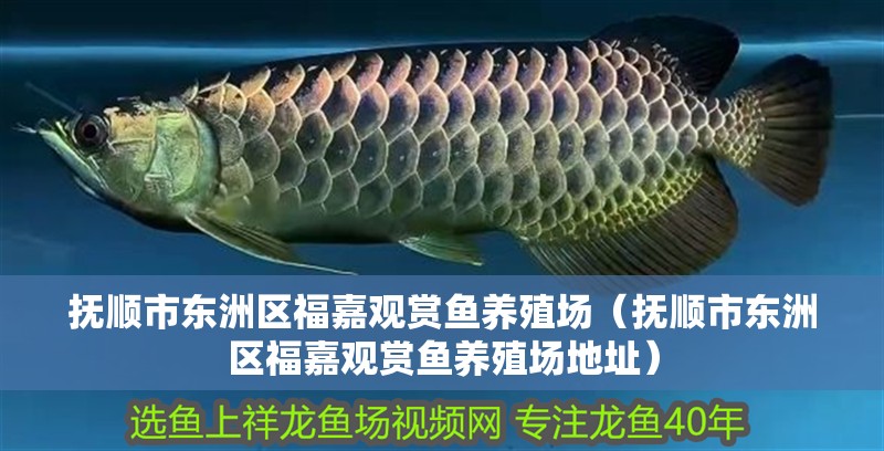 撫順市東洲區(qū)福嘉觀賞魚(yú)養(yǎng)殖場(chǎng)（撫順市東洲區(qū)福嘉觀賞魚(yú)養(yǎng)殖場(chǎng)地址）