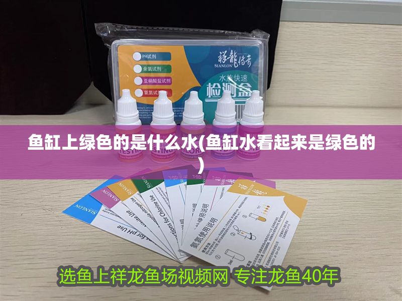魚缸上綠色的是什么水(魚缸水看起來是綠色的)