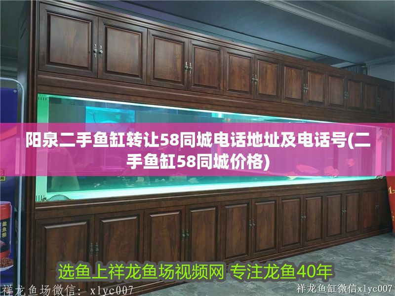 陽泉二手魚缸轉讓58同城電話地址及電話號(二手魚缸58同城價格)