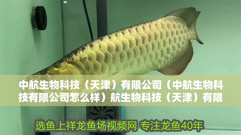 中航生物科技（天津）有限公司（中航生物科技有限公司怎么樣）航生物科技（天津）有限公司，探索創新與專業成就的 中航生物科技（天津）有限公司（中航生物科技有限公司怎么樣）航生物科技（天津）有限公司，探索創新與專業成就的 全國水族館企業名錄 第4張